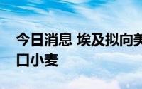 今日消息 埃及拟向美国加拿大等五国招标进口小麦