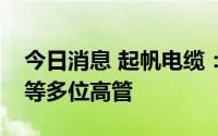 今日消息 起帆电缆：聘任总经理及副总经理等多位高管