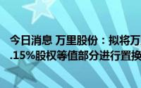 今日消息 万里股份：拟将万里电源100%股权与特瑞电池48.15%股权等值部分进行置换