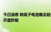 今日消息 钠离子电池概念股开盘走强，山东章鼓、传艺科技开盘秒板