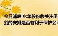 今日消息 水羊股份收关注函：要求说明本次交易先付款后交割的安排是否有利于保护公司利益