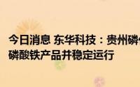 今日消息 东华科技：贵州磷化3万吨/年磷酸铁项目产出合格磷酸铁产品并稳定运行