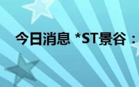 今日消息 *ST景谷：再次延期回复问询函
