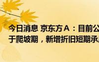 今日消息 京东方Ａ：目前公司三条柔性AMOLED产线尚处于爬坡期，新增折旧短期承压