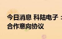 今日消息 科陆电子：与美洲某客户签订储能合作意向协议