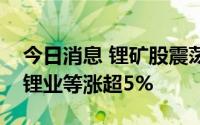 今日消息 锂矿股震荡走强，中矿资源、天齐锂业等涨超5%