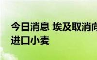 今日消息 埃及取消向美国加拿大等五国招标进口小麦