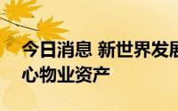 今日消息 新世界发展正放售100亿港元非核心物业资产