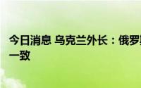 今日消息 乌克兰外长：俄罗斯和乌克兰几乎就谷物出口达成一致