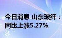 今日消息 山东玻纤：上半年净利润3.48亿元，同比上涨5.27%