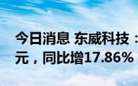 今日消息 东威科技：上半年营业收入4.12亿元，同比增17.86%