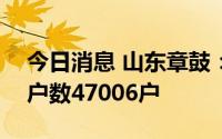 今日消息 山东章鼓：截至7月20日，股东总户数47006户