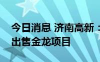 今日消息 济南高新：子公司以公开询价方式出售金龙项目