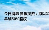 今日消息 鲁银投资：拟以1179.345万元公开挂牌转让禹城羊绒50%股权