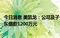 今日消息 美凯龙：公司及子公司向两家合营联营公司提供股东借款1200万元
