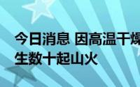 今日消息 因高温干燥天气，希腊24小时内发生数十起山火