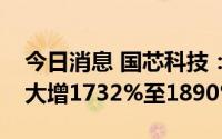 今日消息 国芯科技：预计上半年净利润同比大增1732%至1890%
