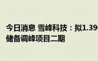 今日消息 雪峰科技：拟1.39亿元投建天然气综合利用及安全储备调峰项目二期