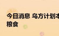 今日消息 乌方计划本周从黑海港口运出首批粮食