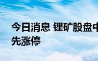 今日消息 锂矿股盘中逆势拉升，永兴材料率先涨停