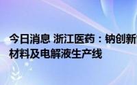 今日消息 浙江医药：钠创新能源项目进展顺利，正建设正极材料及电解液生产线