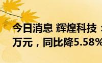 今日消息 辉煌科技：上半年净利润7331.32万元，同比降5.58%