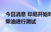 今日消息 印尼开始对40%棕榈油含量的生物柴油进行测试