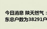 今日消息 陕天然气： 截至7月20日，公司股东总户数为38291户