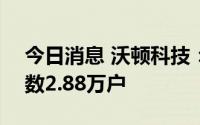 今日消息 沃顿科技：截至7月20日，股东户数2.88万户