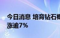 今日消息 培育钻石概念持续走高，力量钻石涨逾7%