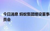 今日消息 蚂蚁集团增设董事会风险管理与消费者权益保障委员会