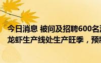今日消息 被问及招聘600名流水线工人原因，国联水产：小龙虾生产线处生产旺季，预制菜产能利用率高