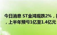 今日消息 ST金鸿现跌2%，控股股东股权质押纠纷诉讼败诉，上半年预亏1亿至1.4亿元