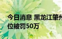 今日消息 黑龙江肇州农商银行内控管理不到位被罚50万