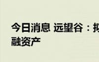 今日消息 远望谷：拟授权公司管理层出售金融资产