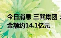 今日消息 三巽集团：上半年现累计合同销售金额约14.1亿元