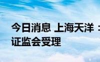 今日消息 上海天洋：非公开发行股票申请获证监会受理