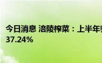 今日消息 涪陵榨菜：上半年归母净利润5.16亿元，同比上涨37.24%