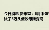 今日消息 新希望：6月中旬考虑到猪价有较快上涨，额外淘汰了5万头低效母猪变现