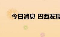 今日消息 巴西发现三例儿童猴痘病例