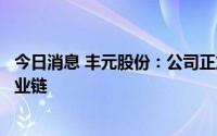 今日消息 丰元股份：公司正加快布局锂电池正极材料上游产业链