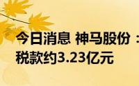 今日消息 神马股份：近期共收增值税留抵退税款约3.23亿元