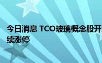 今日消息 TCO玻璃概念股开盘大涨，金晶科技、耀皮玻璃继续涨停