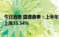 今日消息 盛德鑫泰：上半年归母净利润2865.16万元，同比上涨35.54%