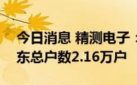 今日消息 精测电子：截至7月29日，公司股东总户数2.16万户
