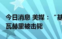 今日消息 美媒：“基地”组织领导人艾曼·扎瓦赫里被击毙