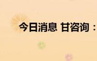 今日消息 甘咨询：董事长宋忠庆辞职
