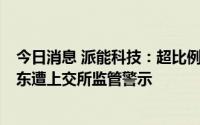 今日消息 派能科技：超比例减持触及违规，持股5%以上股东遭上交所监管警示