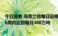 今日消息 乌克兰将每日运粮船数量限制为3艘：出口可在4-6周内达到每月300万吨