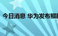 今日消息 华为发布鲲鹏高性能计算解决方案